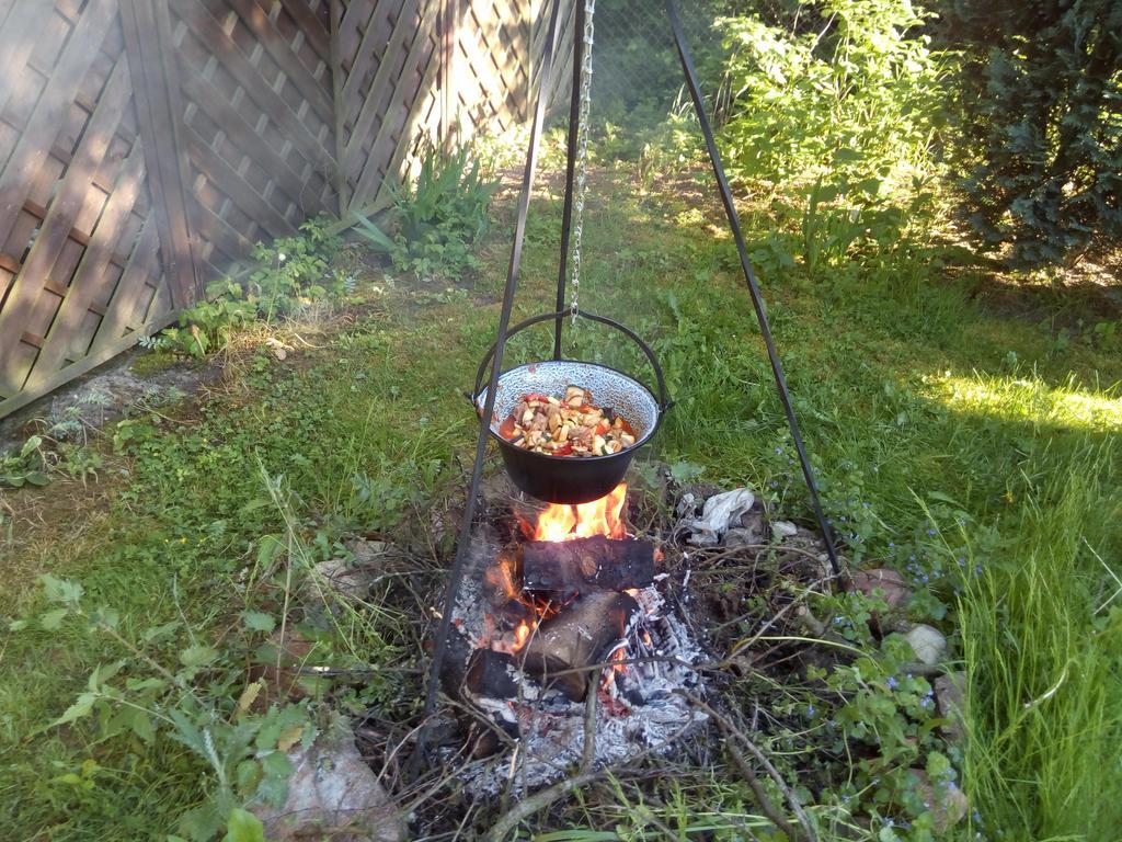 Gospodarstwo Agroturystyczne Z Basenem & Spa I Alpakami Ełk Exterior foto